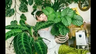 Plant Tour