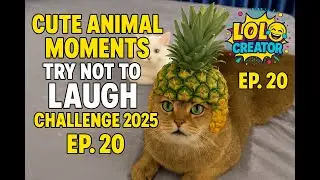 Funny Cute Cat Moments 2😂|Try Not to Laugh Challenge 2025  Epic Comedy Skits Ep.17 #shorts   #funny