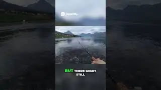 Fishing Frenzy  Unexpected Catch in Insane Waters! #fishingfrenzy #seafishing #saltwaterfishing