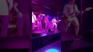 S.H.A.R.P. - English rose cover