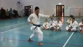 A Tribute to Jun Wakisaka Sensei  SKIF