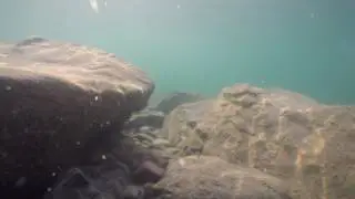 Under Water View Flathead Lake- Using GoPro Hero4