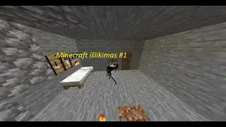 Minecraft išlikimas 1