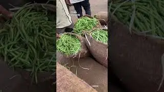 Beans | Bowenpally vegetable market #beans #viral #trending #vegetables #youtube #shorts #video