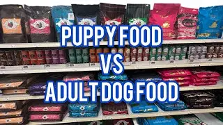 Difference between puppy food and adult dog food