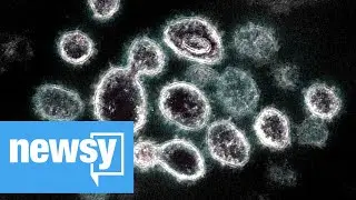 Warm weather and coronavirus
