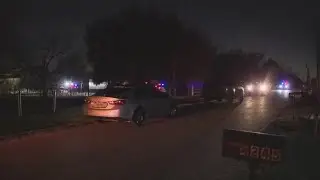 Deputies investigate suspected rooster fighting after dozens found dead in northeast Harris County