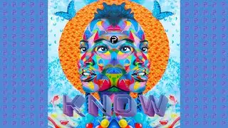Pratic - Know (Original Mix) | Future House Music 2022 | Lyrics Video