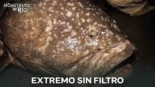El Especimen M&aacute;s Bizarro Jam&aacute;s Visto Por Wade | Monstruos de R&iacute;o