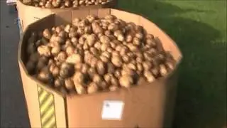 Last Harvest 2016
