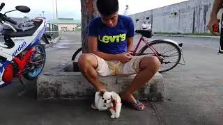 Run Pamu