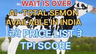 AI -TOTAL SEMON AVAILABLE IN INDIA NOW ਦੇਖੋ PRICE LIST ਤੇ TPI SCORE ਸਾਰੇ BULLS ਦਾ ਜਰੂਰ ਦੇਖੋ