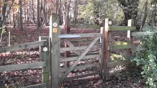 SWC Free Walk 69, Welwyn Circular. 11/11/12.