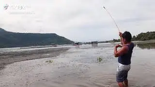 mancing haruan di danau toba 👍