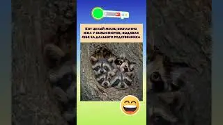🤣🤣 #смех #семья #юмор #смехпродлеваетжизнь #мем #смешновидео #анекдоты #шуточное #семьявместе #memes