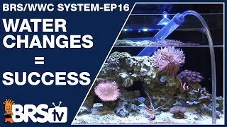 Ep16: How to do water changes for a dream saltwater tank? - The BRS/WWC System