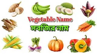 Vegetable Name with Bangla Meaning | সবজির নাম বাংলা অর্থসহ