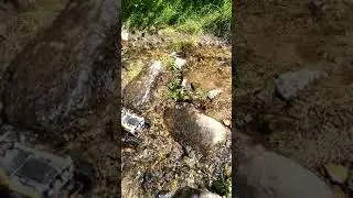 Remo hobby crawler mountain lion