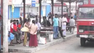 Mannar News