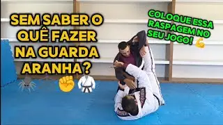 RASPAGEM DA GUARDA ARANHA - SIMPLES E EFICIENTE