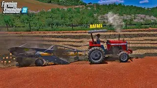 Fazenda simulada #14 | Colhemos a cebola do campo de teste | Farming simulator 22