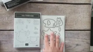 Stampin Up! Haul 2019 Occasions & Sale a bration Catalogues