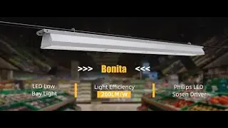 Bonita linear lowbay light