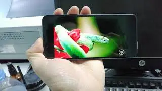 Sharp Aquos Sense 3 basic - Sharp SHV48 ra mắt 6/2020