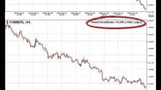 Forex Trendy   The Real Solution FX Traders Want