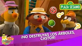 Plaza S&eacute;samo: &iquest;Beto y Enrique ayudar&aacute;n a construir una casa de &oacute;pera? | Aventuras Beto y Enrique