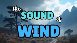8 Hours of Wind & Creaking Wood &ndash; Deep Relaxation Eerie But Soothing