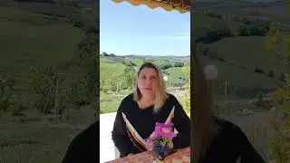 История создания одного логотипа очень известного итальянского бренда ВЕРСАЧИ #versace