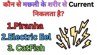 || Day 2 || GK Questions || GK in Hindi || GK Videos ||