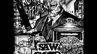 Sawgood - Human Specimen ( Free Download )