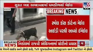 Bomb Threat Email Targets Ahmedabad High Court and City Courts, Premises Evacuated | TV9Gujarati