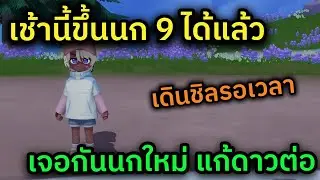 🔴 LIVE Heartopia เช้านี้นก 9 ได้ลองเทสแก้ดาวยามเช้าแน่นอน ส่วนตอนนี้เดินชิลไปก่อน