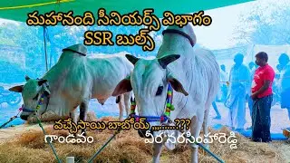 Команда SSR Bulls присоединилась к старшему дивизиону Махананди.