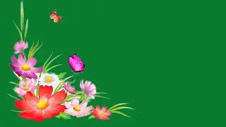 flower butterfly green screen | green screen flower video | green screen effects new trending status