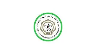 Issuance of Preliminary Approval for Establishing a Warehouse for Transport and Storage of Gas