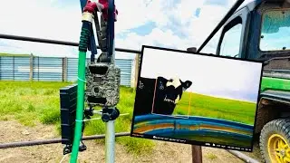 I Know My Cows Have Water &mdash; Anytime, Anywhere with Barn Owl Cameras