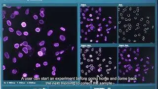 Syncell Microscoop Demo - Nuclear membrane proteomic discovery