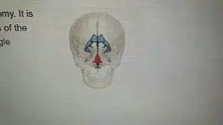 Lateral Aperture Basic (The Human Brain)