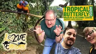 Tropical Butterfly House Wildlife & Falconry Centre | Anston, Sheffield