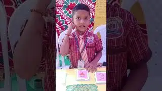 Blossom play way school  science fair $$#@@#