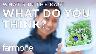 What's In The Bag? Fresh Produce Delivery Unboxing and What it means to be a neighborhood farm
