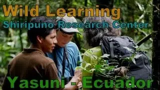 Yasuni Wilderness
