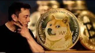 The Comeback Kid: Dogecoin's Rise #dogecoin