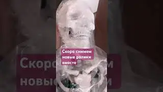 Новый скелет приехал.