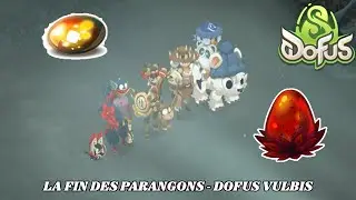 💎 LES 4 PARANGONS EN POCHE ! - QU&Ecirc;TES DU DOFUS VULBIS 🌟 - DOFUS 3