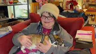 Reiki Lesson Six with Lilli DeCair: Raku 1
